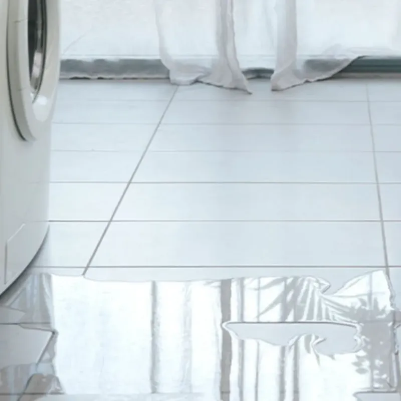 Appliance Leak Cleanup in Ames, IA