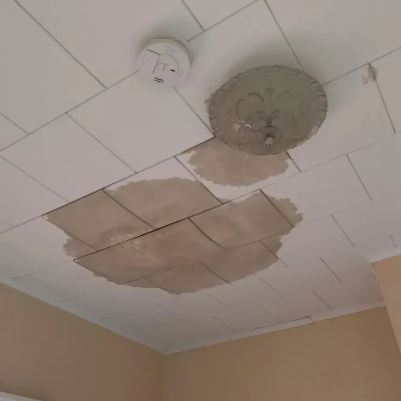 Ceiling Water Damage Repair in Ames, IA
