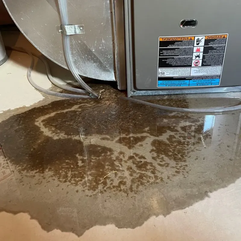 Pipe Burst and Leak Restoration in Ames, IA