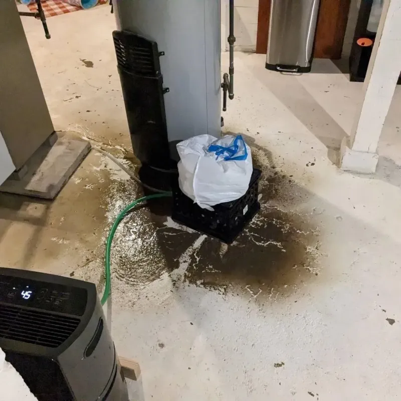 Sewage Backup Cleanup Service in Ames, IA